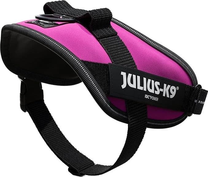Pettorina Julius-K9 IDC Power Fucsia - 3