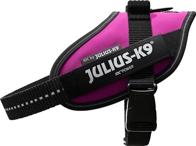 Pettorina Julius-K9 IDC Power Fucsia - 4