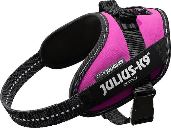 Pettorina Julius-K9 IDC Power Fucsia - 5