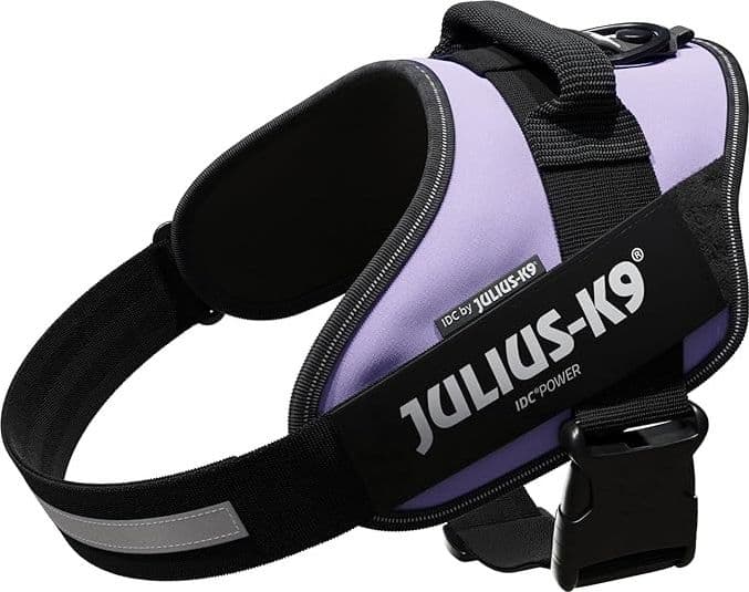 Pettorina Julius-K9 IDC Power Viola - 3