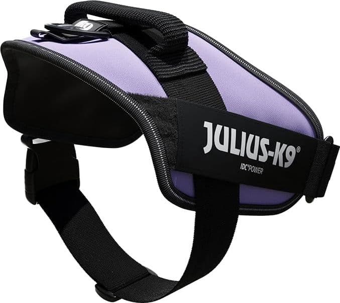 Pettorina Julius-K9 IDC Power Viola - 4