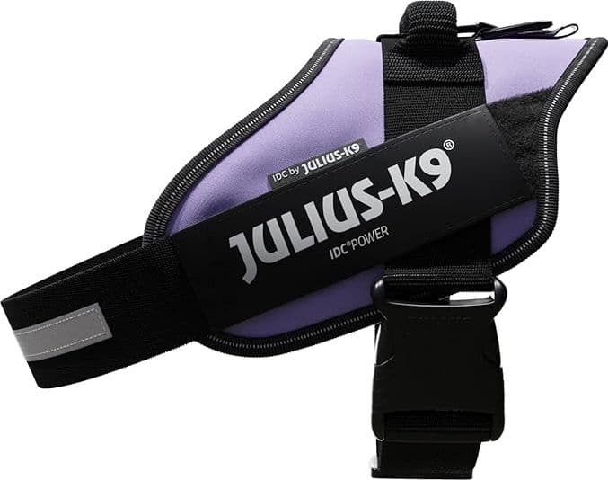 Pettorina Julius-K9 IDC Power Viola - 5