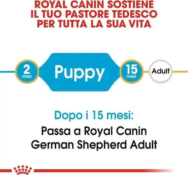 Royal Canin Pastore Tedesco Puppy Croccantini per Cani Cuccioli - 2