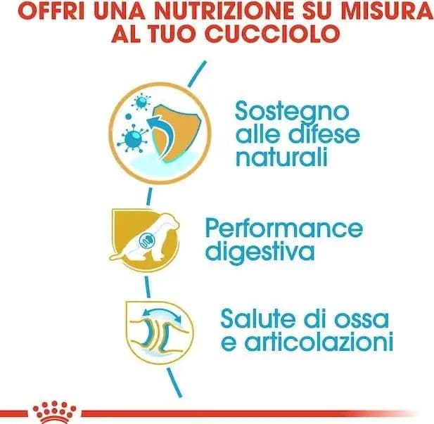 Royal Canin Pastore Tedesco Puppy Croccantini per Cani Cuccioli - 4