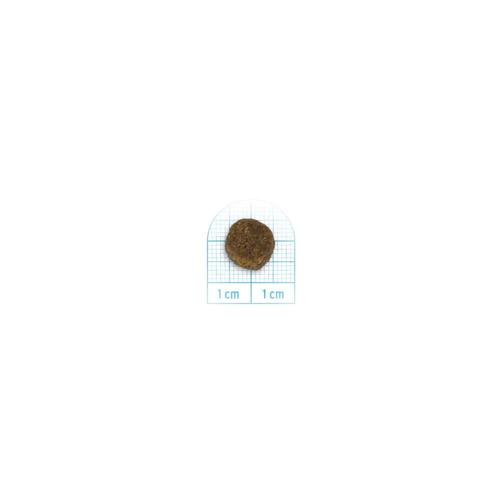 Forza 10 Maintenance cane Medium/Maxi puppy pesce 12 kg - 3