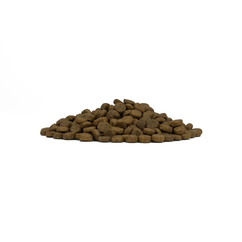 Forza 10 Maintenance cane Medium/Maxi puppy pesce 12 kg - 4