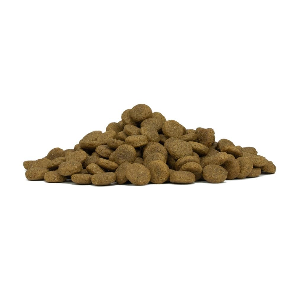 Forza 10 Maintenance cane Medium Adult cervo e patate 12 kg - 4