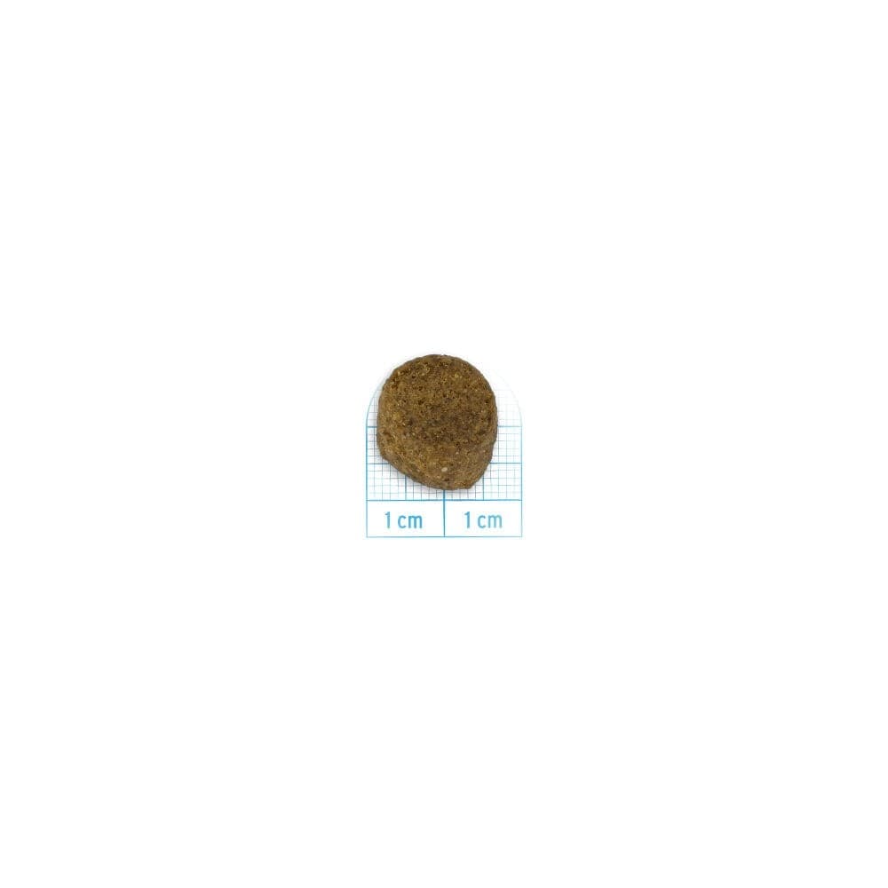 Forza 10 Maintenance cane Maxi Adult cervo e patate 12 kg - 3