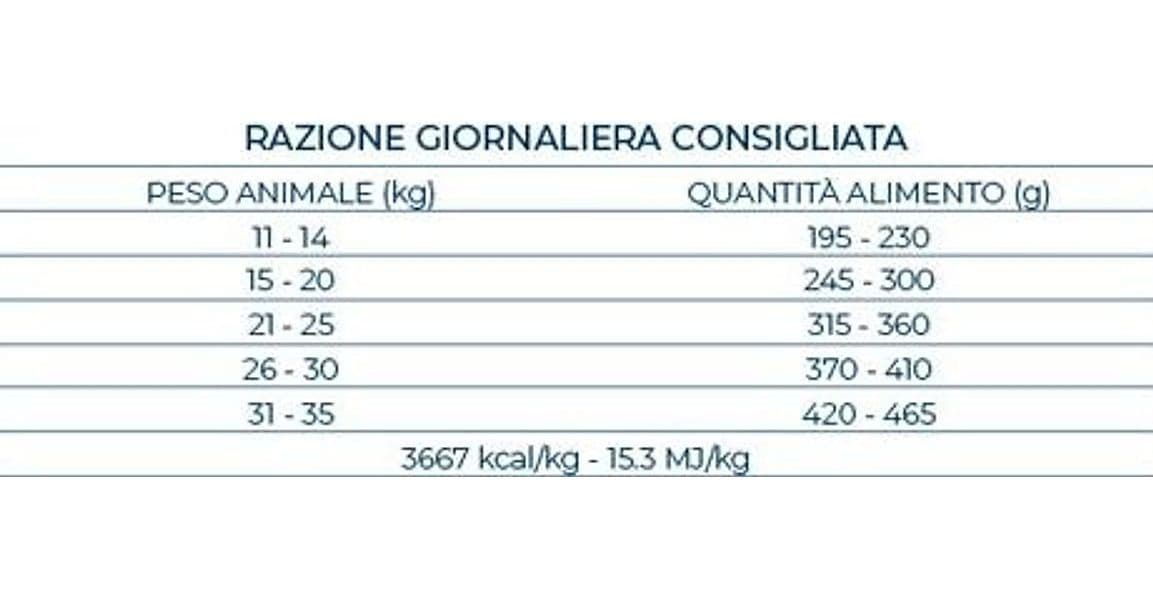 Forza 10 Maintenance cane Medium Adult agnello 12 kg - 6