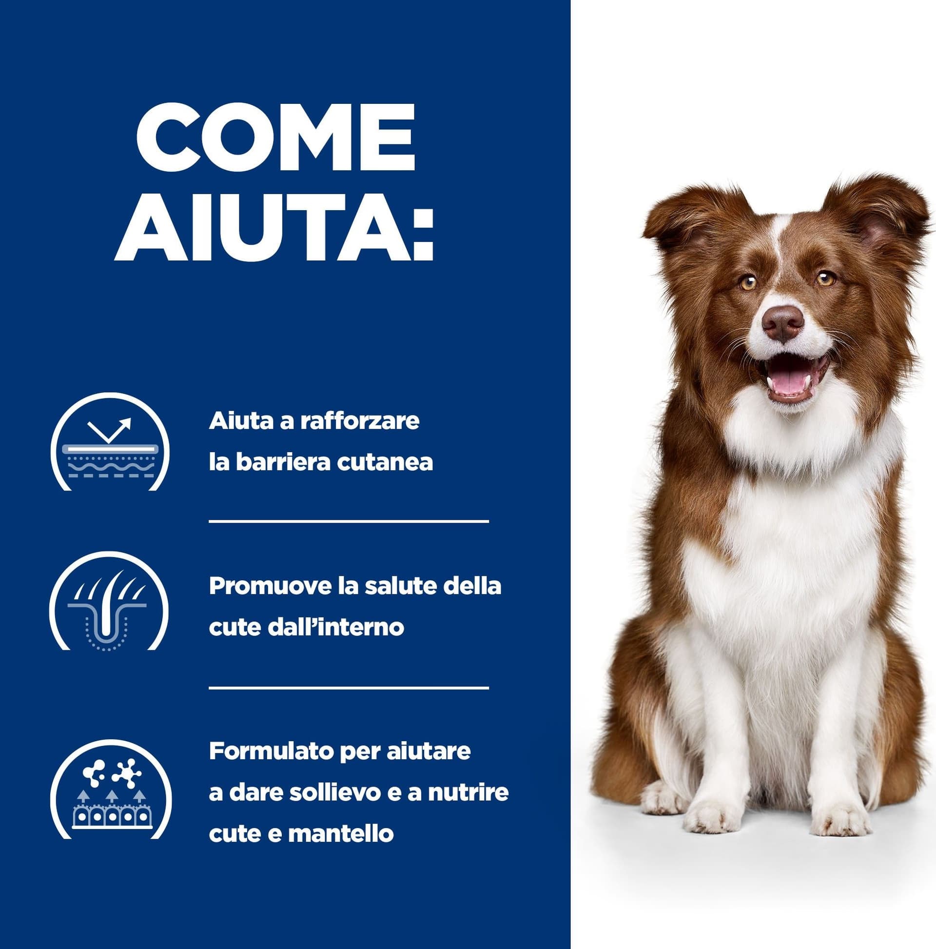 Hill's Prescription Diet Derm Defense secco Cani Adulti pollo - 6