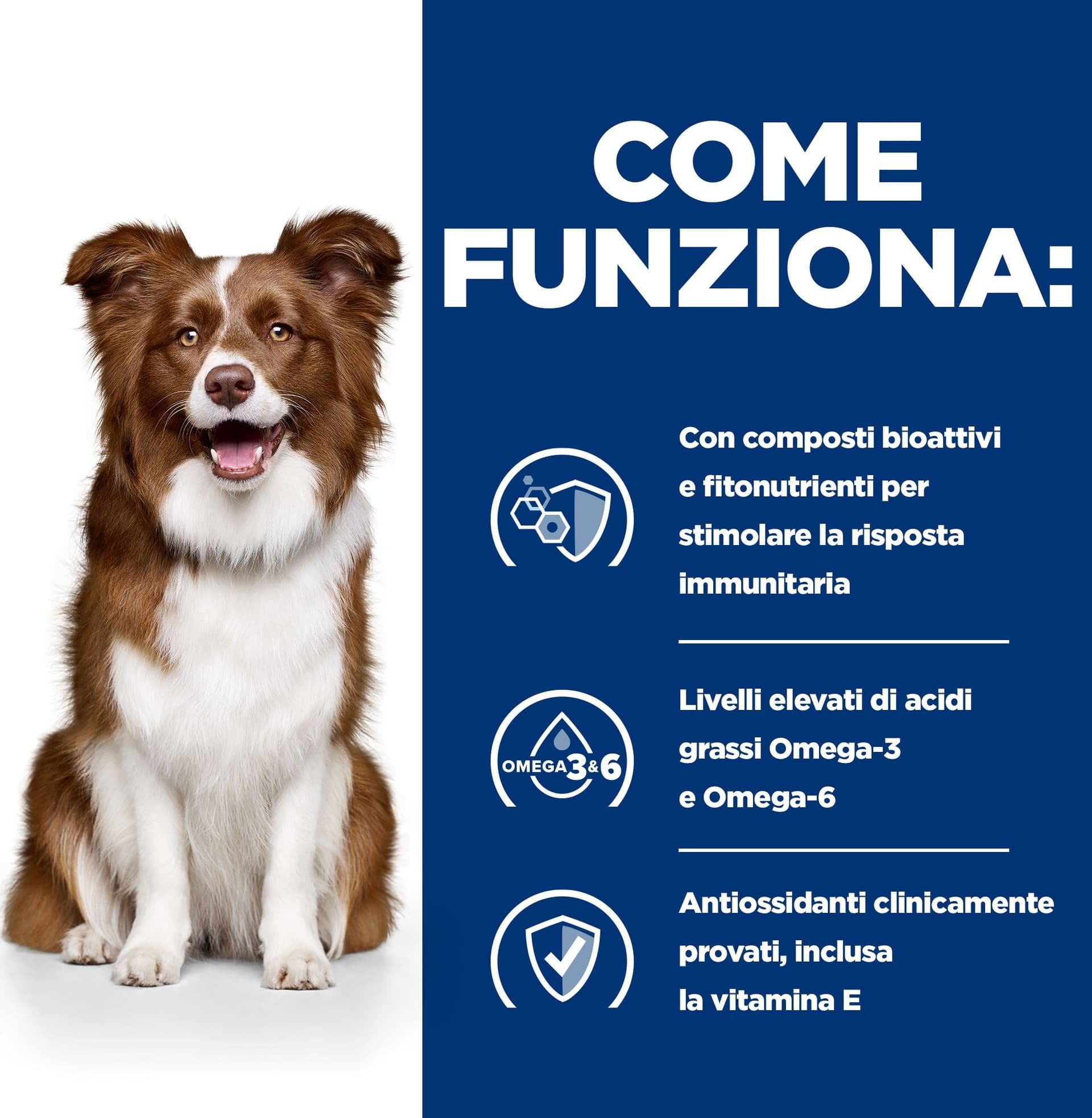 Hill's Prescription Diet Derm Defense secco Cani Adulti pollo - 7