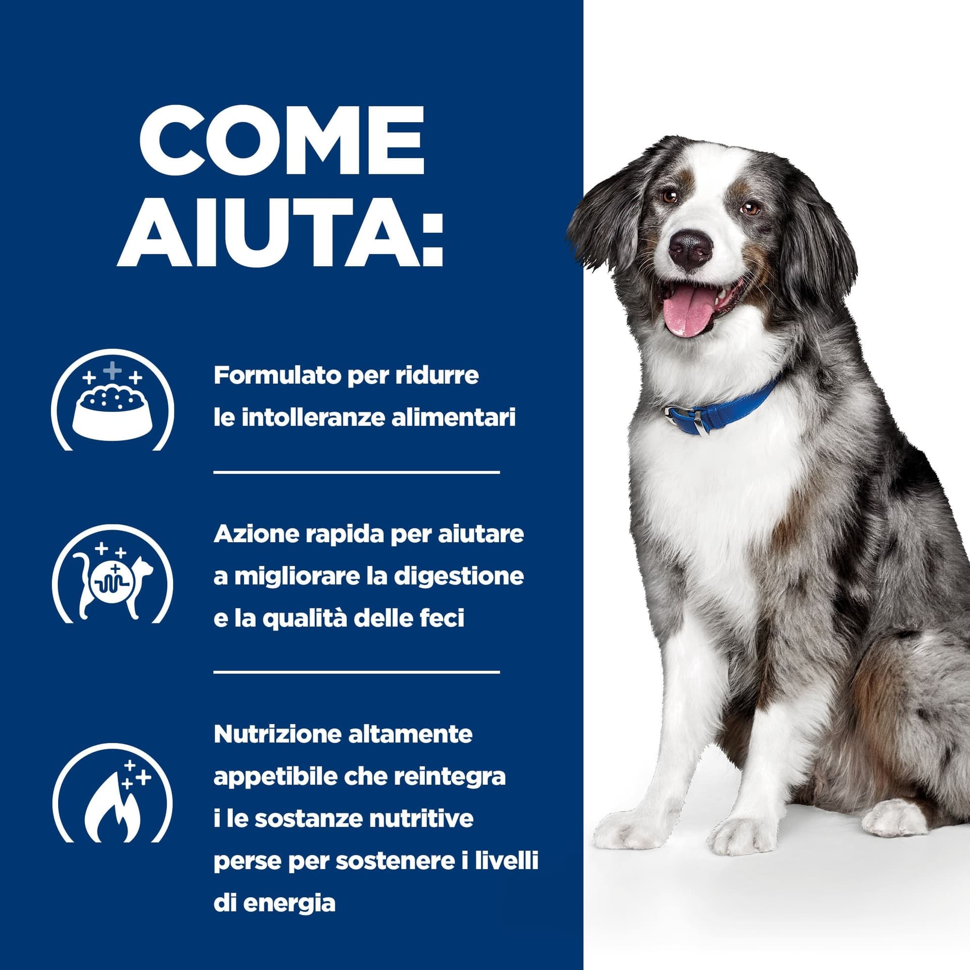 Hill's Prescription diet Digestive Care Sensitive secco Cani Adulti uova e riso - 7
