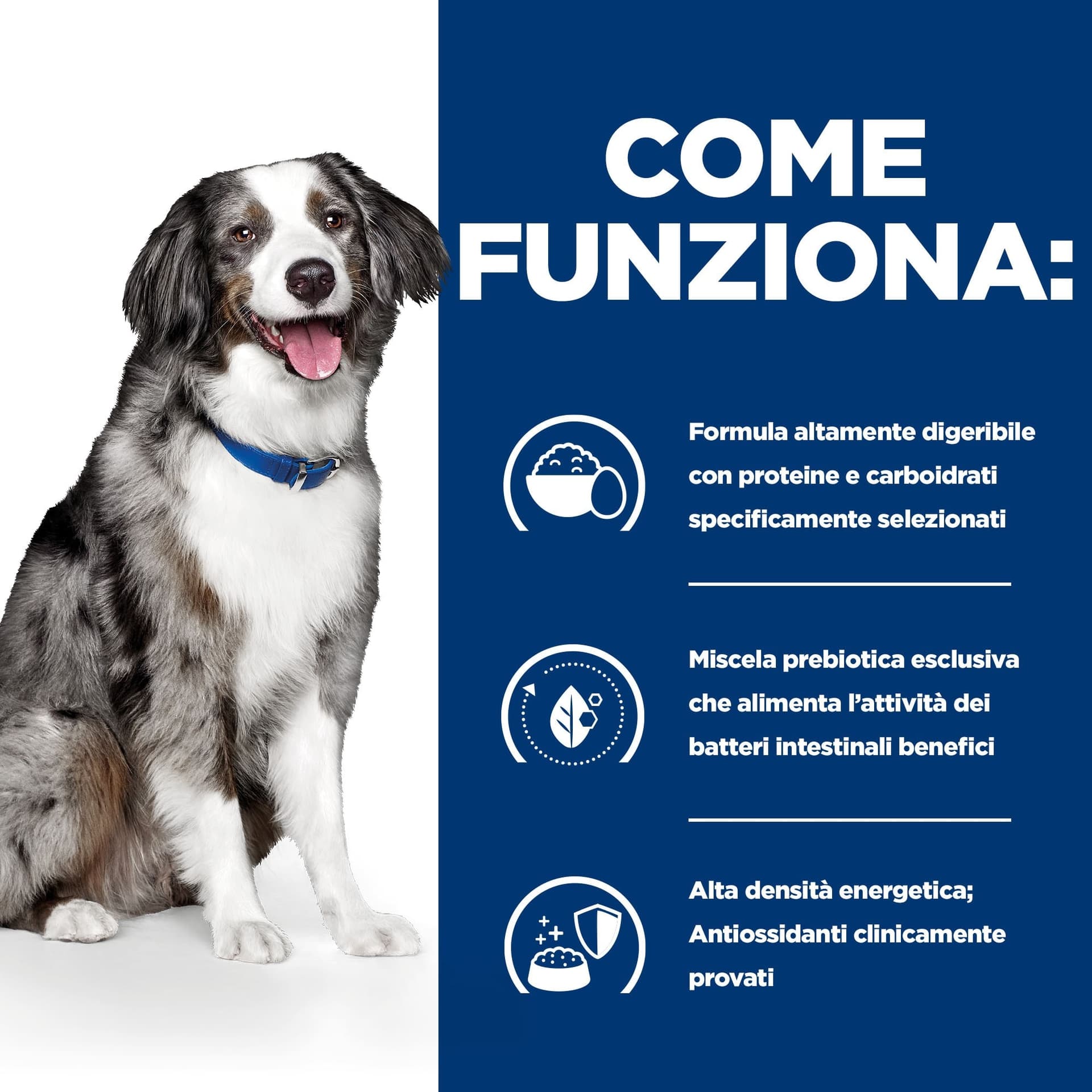 Hill's Prescription diet Digestive Care Sensitive secco Cani Adulti uova e riso - 8