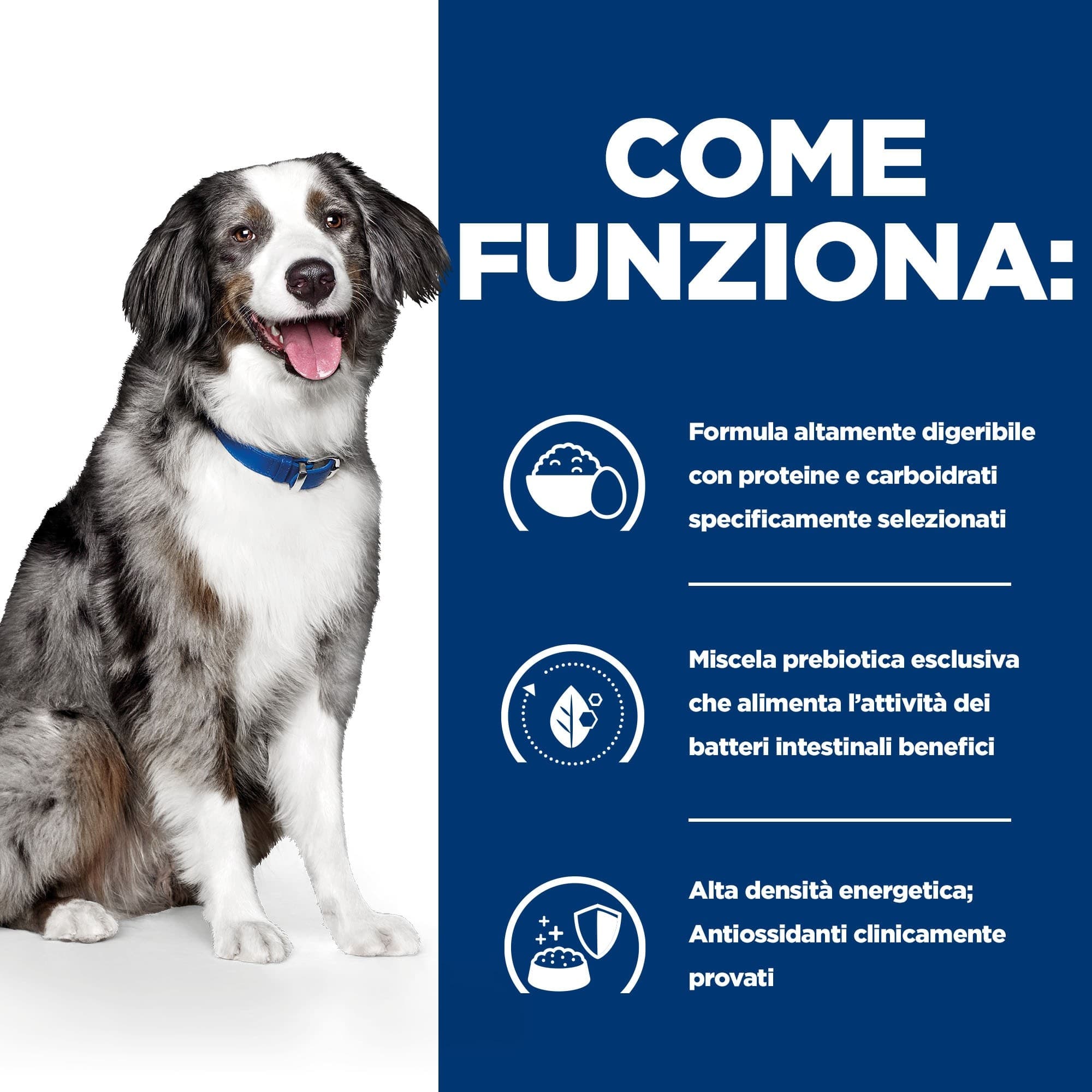 Hill's Prescription diet Digestive Care Sensitive secco Cani Adulti uova e riso - 8