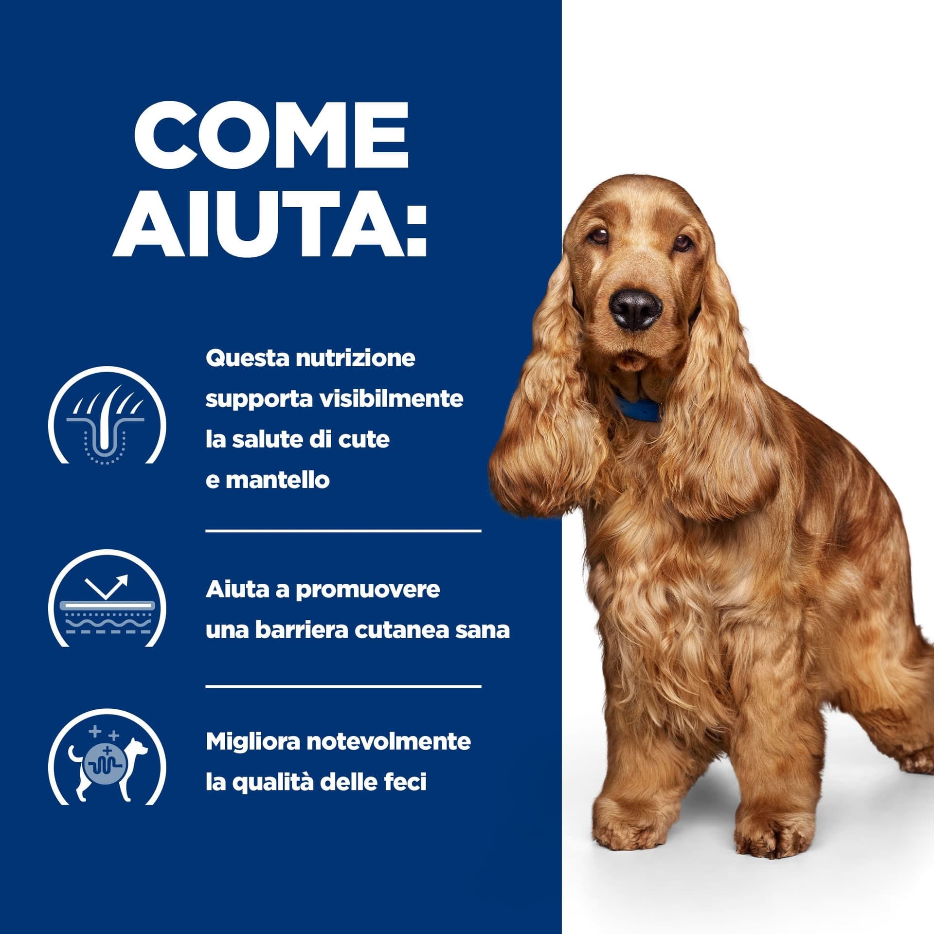 Hill's Prescription Diet Food Sensitivities umido Cani Adulti 370 gr - 9