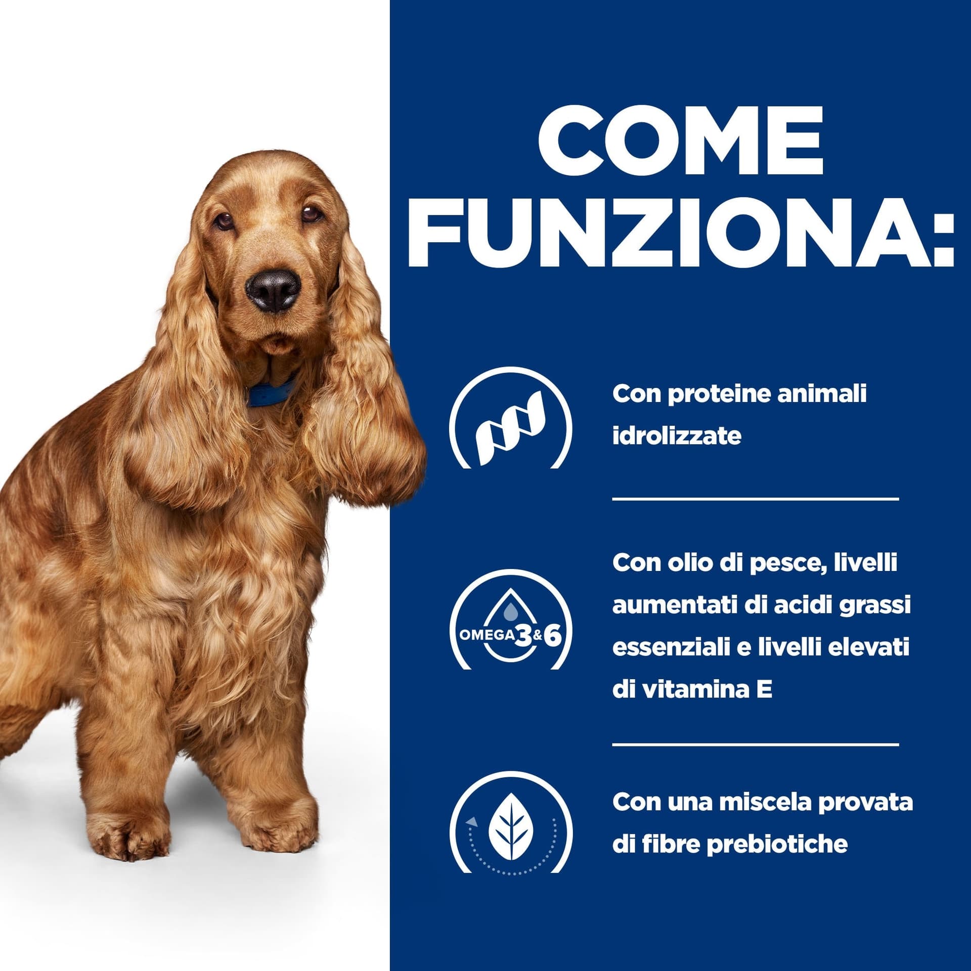 Hill's Prescription Diet Food Sensitivities umido Cani Adulti 370 gr - 10