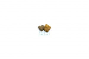 Forza 10 Active Vet Diet cane Echo 10 kg - 3