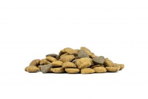 Forza 10 Active Vet Diet cane Echo 10 kg - 4