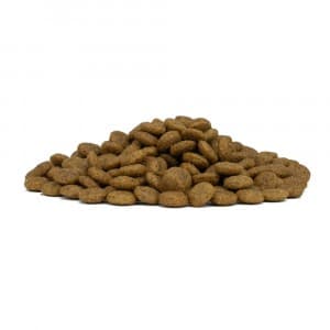 Forza 10 Mono Diet cane Medium Adult maiale con patate 12 kg - 4