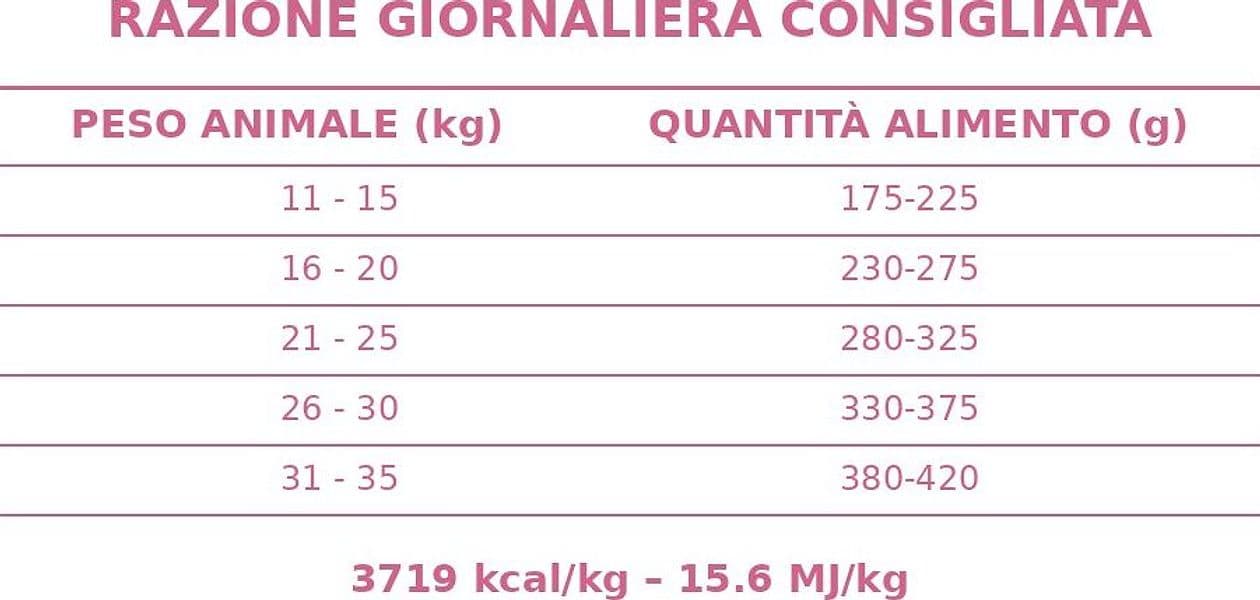 Forza 10 Mono Diet cane Medium Adult maiale con patate 12 kg - 6
