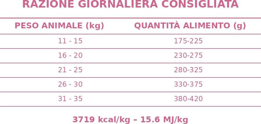 Forza 10 Mono Diet cane Medium Adult maiale con patate 12 kg - 6