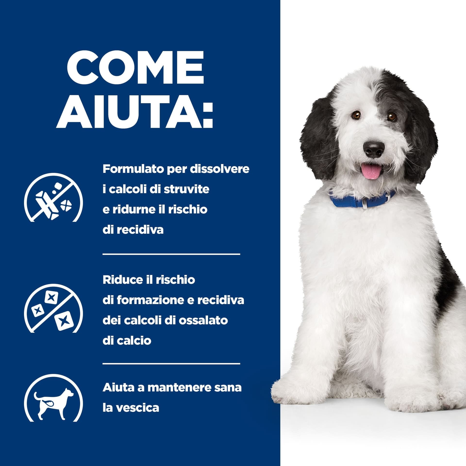 Hill's Prescription Diet Urinary Care c/d secco Cani Adulti pollo - 5