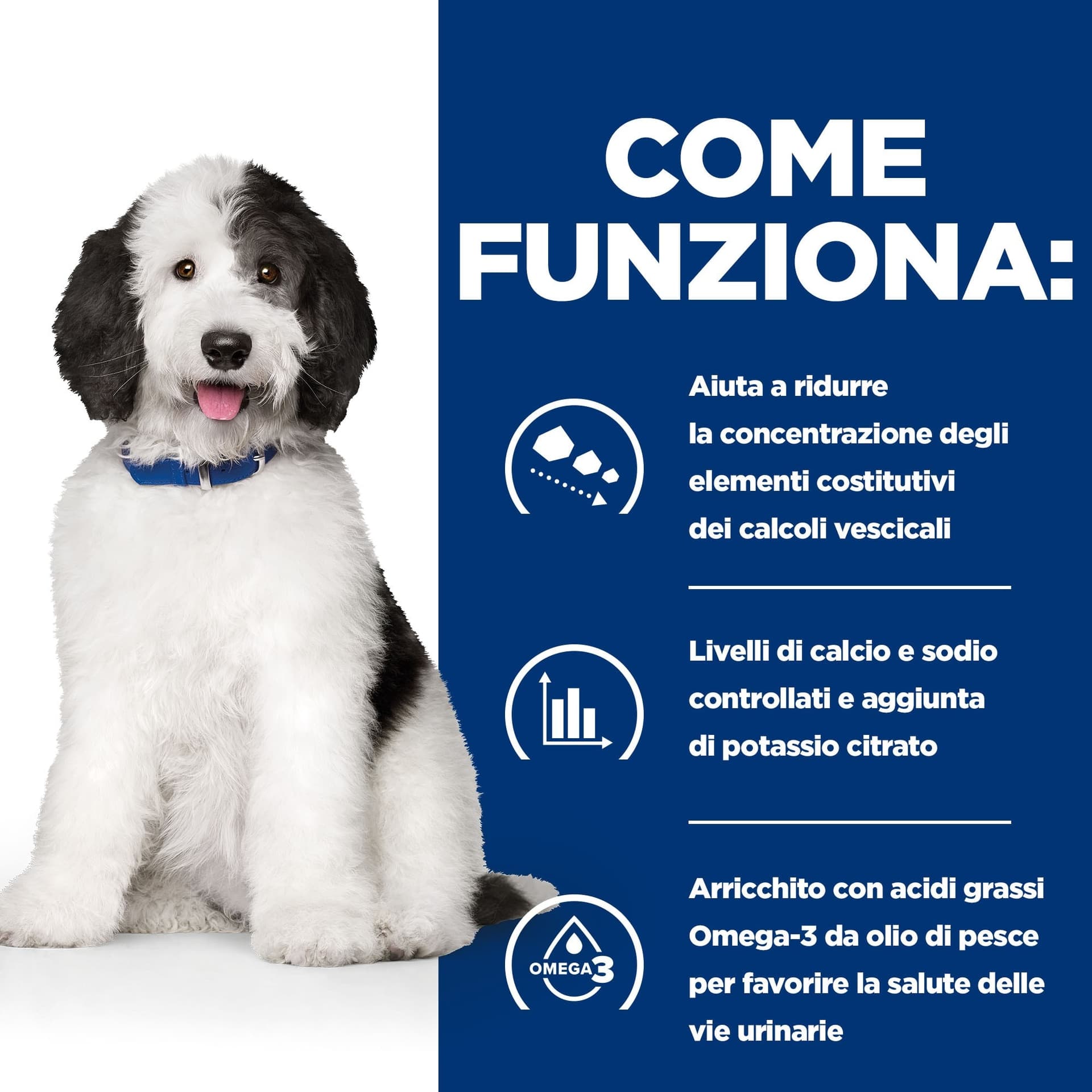 Hill's Prescription Diet Urinary Care c/d secco Cani Adulti pollo - 6