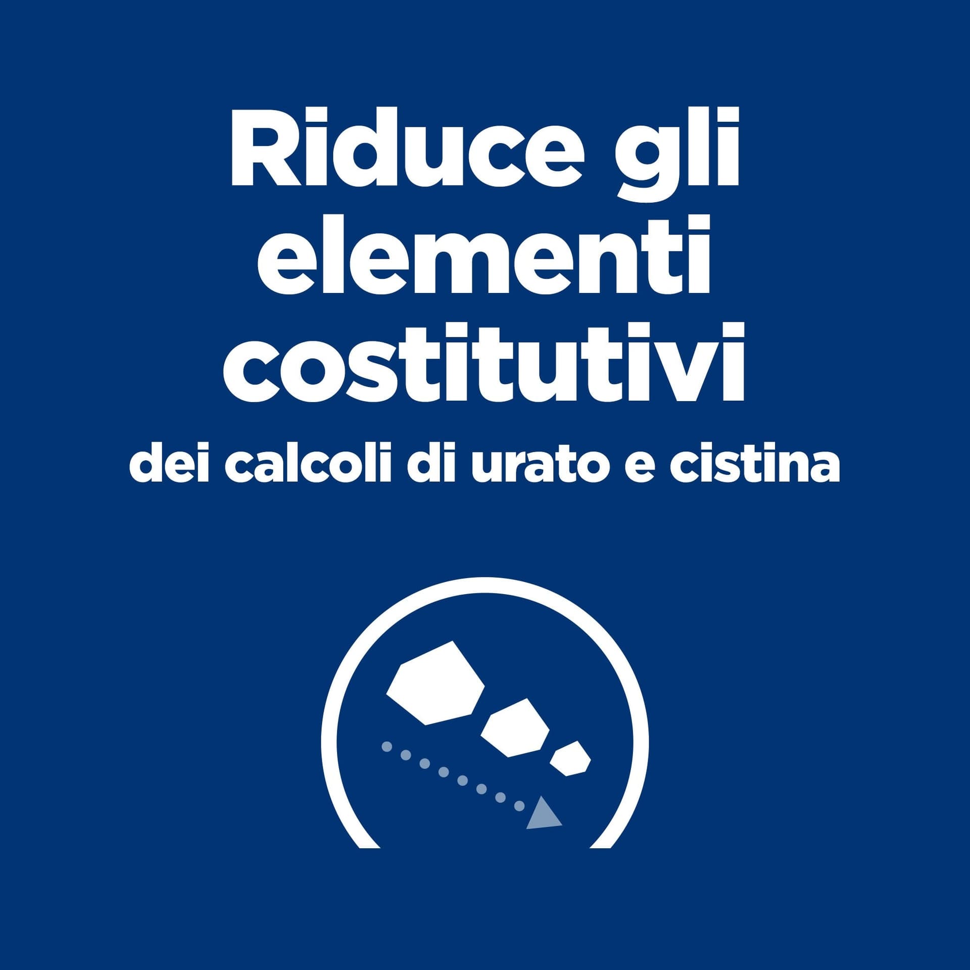 Hill's Prescription Diet Urinary Care u/d umido Cani Adulti 370 gr - 11