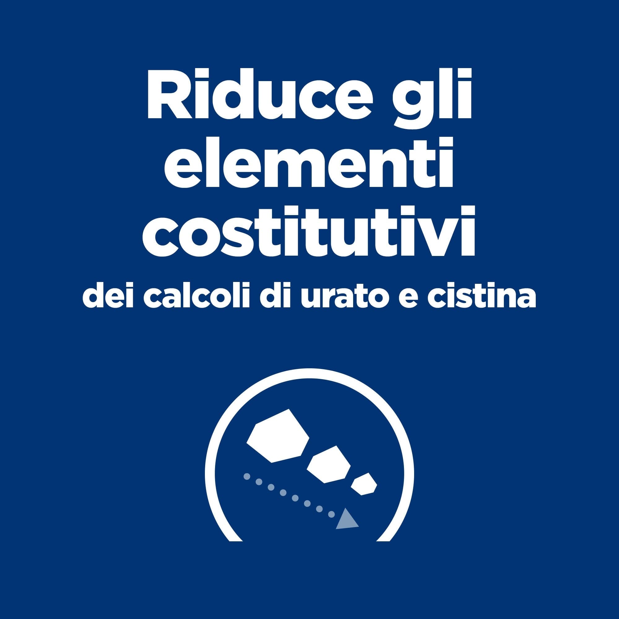Hill's Prescription Diet Urinary Care u/d umido Cani Adulti 370 gr - 11