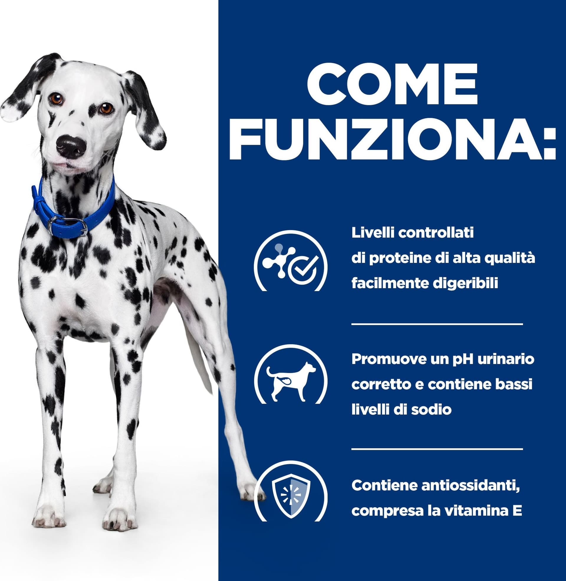 Hill's Prescription Diet Urinary Care u/d umido Cani Adulti 370 gr - 9