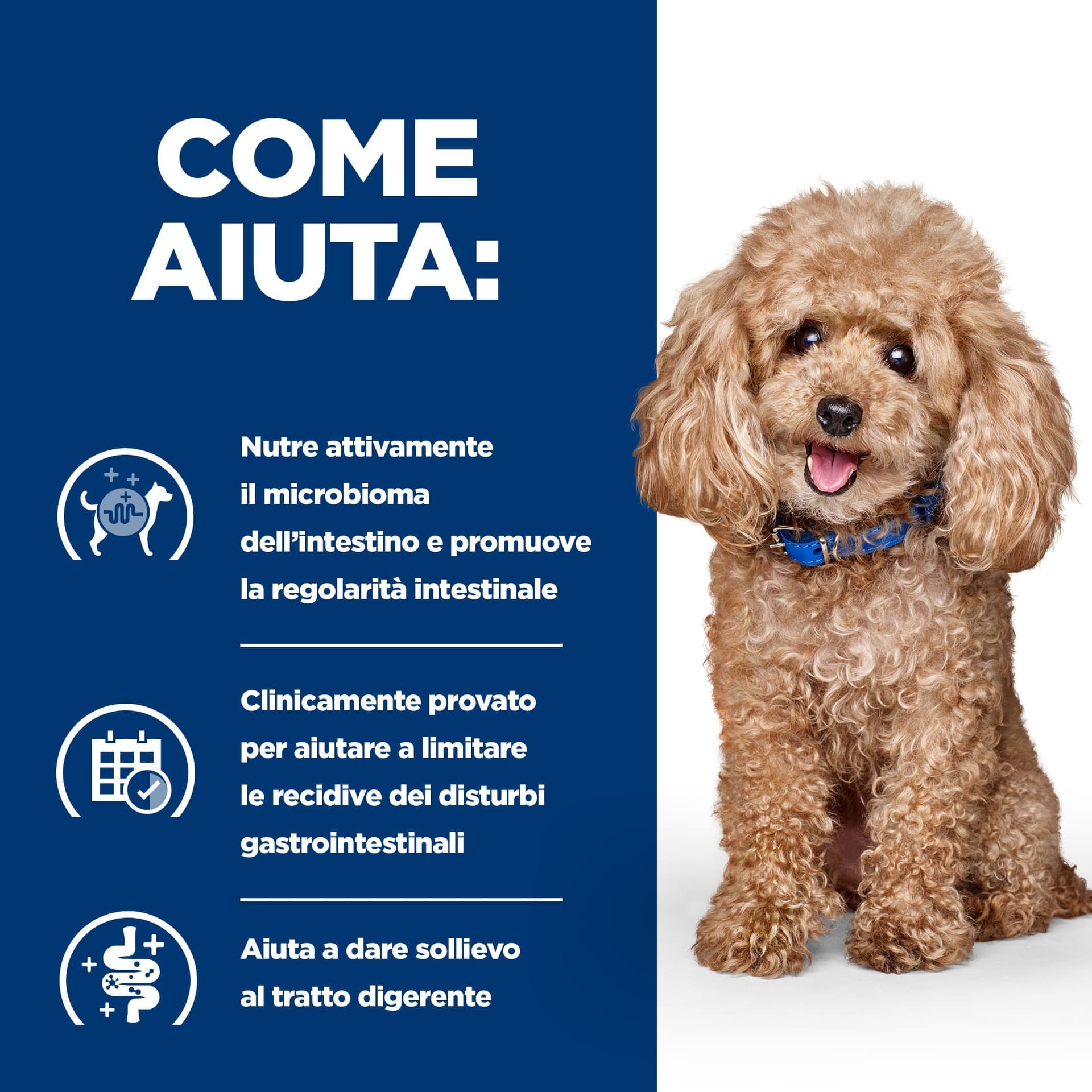 Hill's Prescription Diet Gastrointestinal Biome secco Cani Adulti Mini pollo - 5