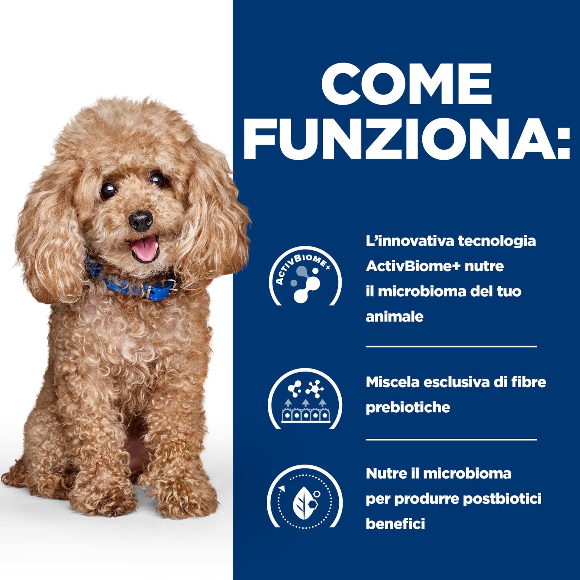 Hill's Prescription Diet Gastrointestinal Biome secco Cani Adulti Mini pollo - 6