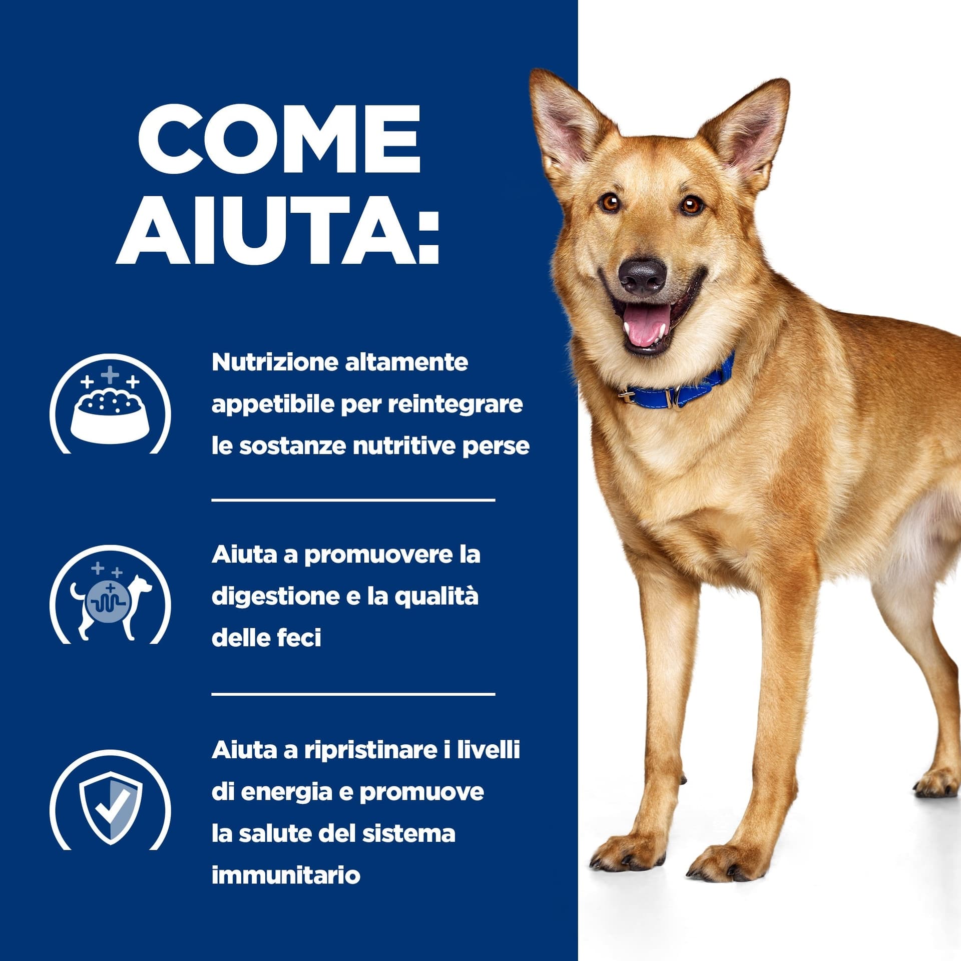 Hill's Prescription Diet Digestive Care umido Cani Adulti pollo e verdure 354 gr - 8