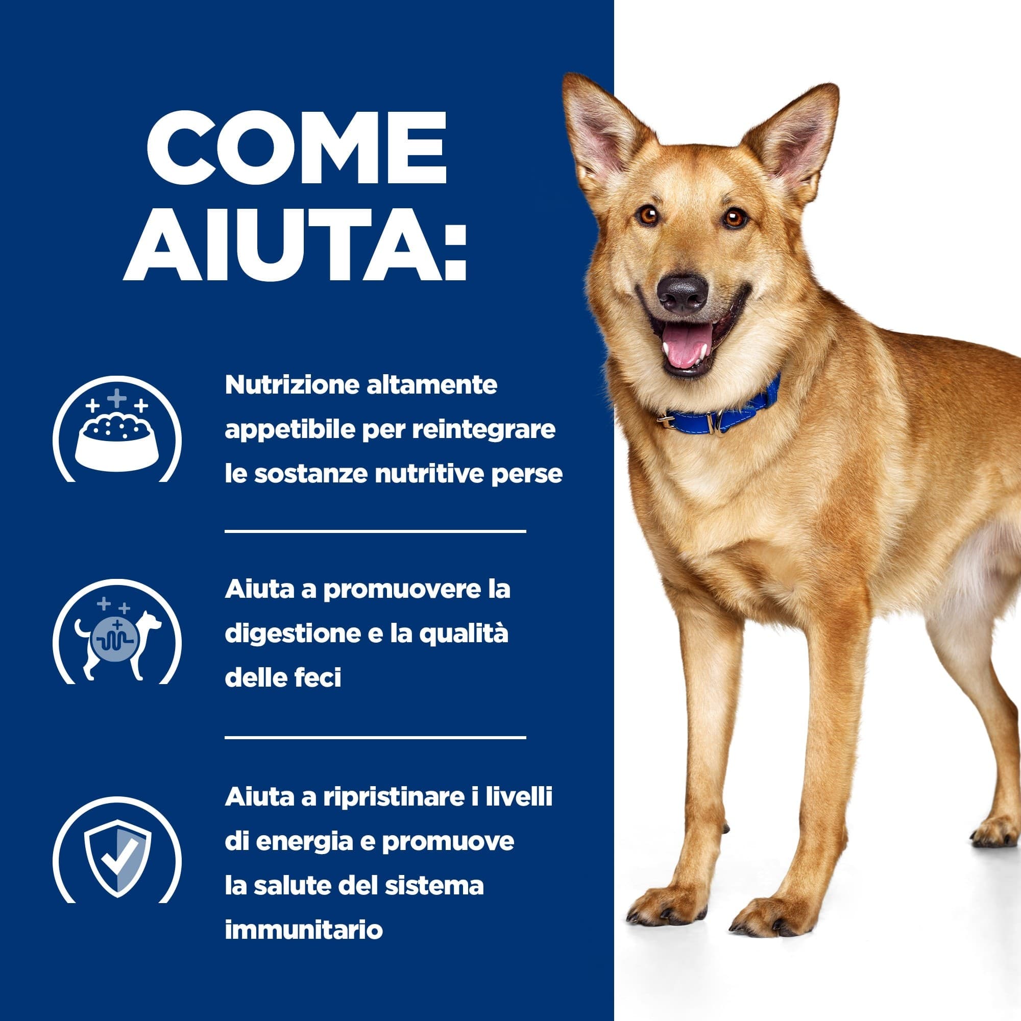 Hill's Prescription Diet Digestive Care umido Cani Adulti pollo e verdure 354 gr - 8