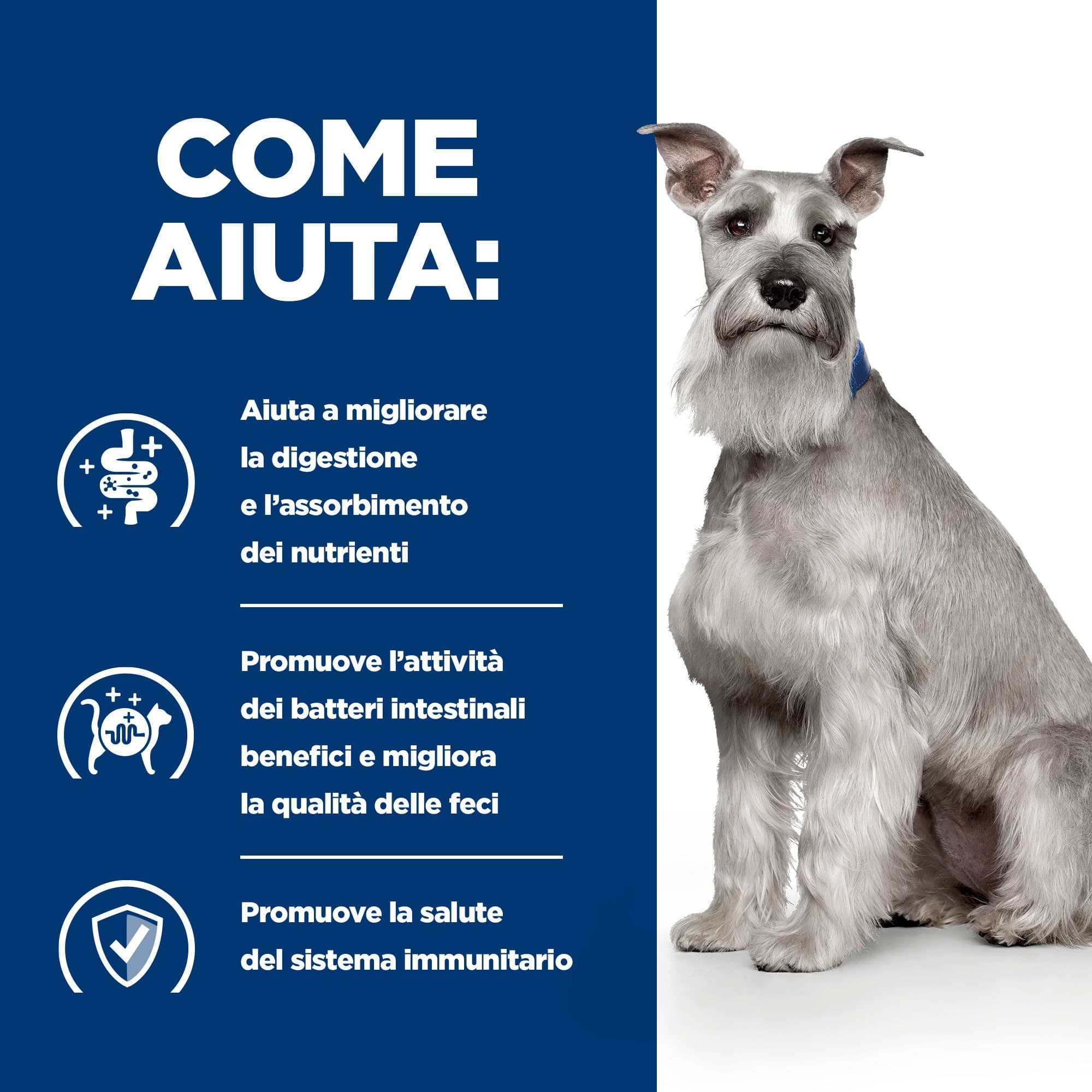 Hill's Prescription Diet Digestive Care Low Fat umido Cani Adulti pollo e verdure 354 gr - 7
