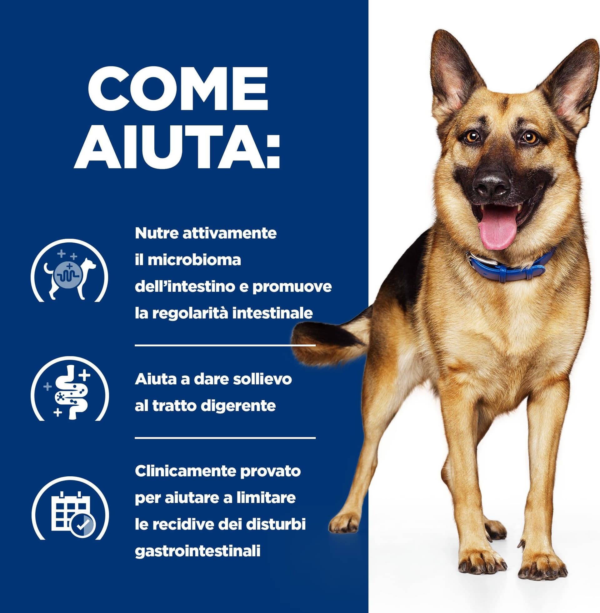Hill's Prescription Diet Gastrointestinal Biome umido Cani Adulti pollo e verdure 354 gr - 9