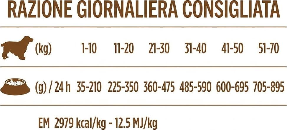Forza 10 Active Vet Diet Intestinal Colon Fase I agnello e sorgo cane - 5