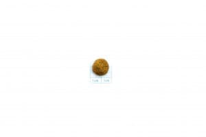Forza 10 Active Vet Diet Intestinal Colon Fase II MINI/TOY cane 1,5 kg - 3