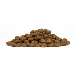 Forza 10 Active Vet Diet Intestinal Colon Fase II MINI/TOY cane 1,5 kg - 4