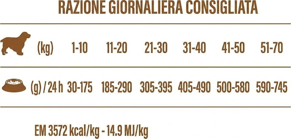 Forza 10 Active Vet Diet cane Intestinal Colon Fase II agnello e sorgo - 5