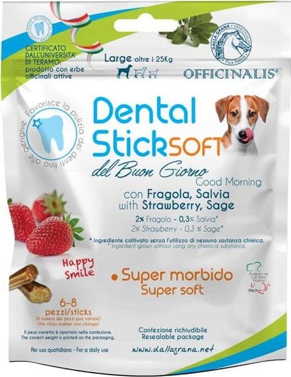 Pura Natura Dental Stick - Buongiorno - LARGE Fragola Salvia