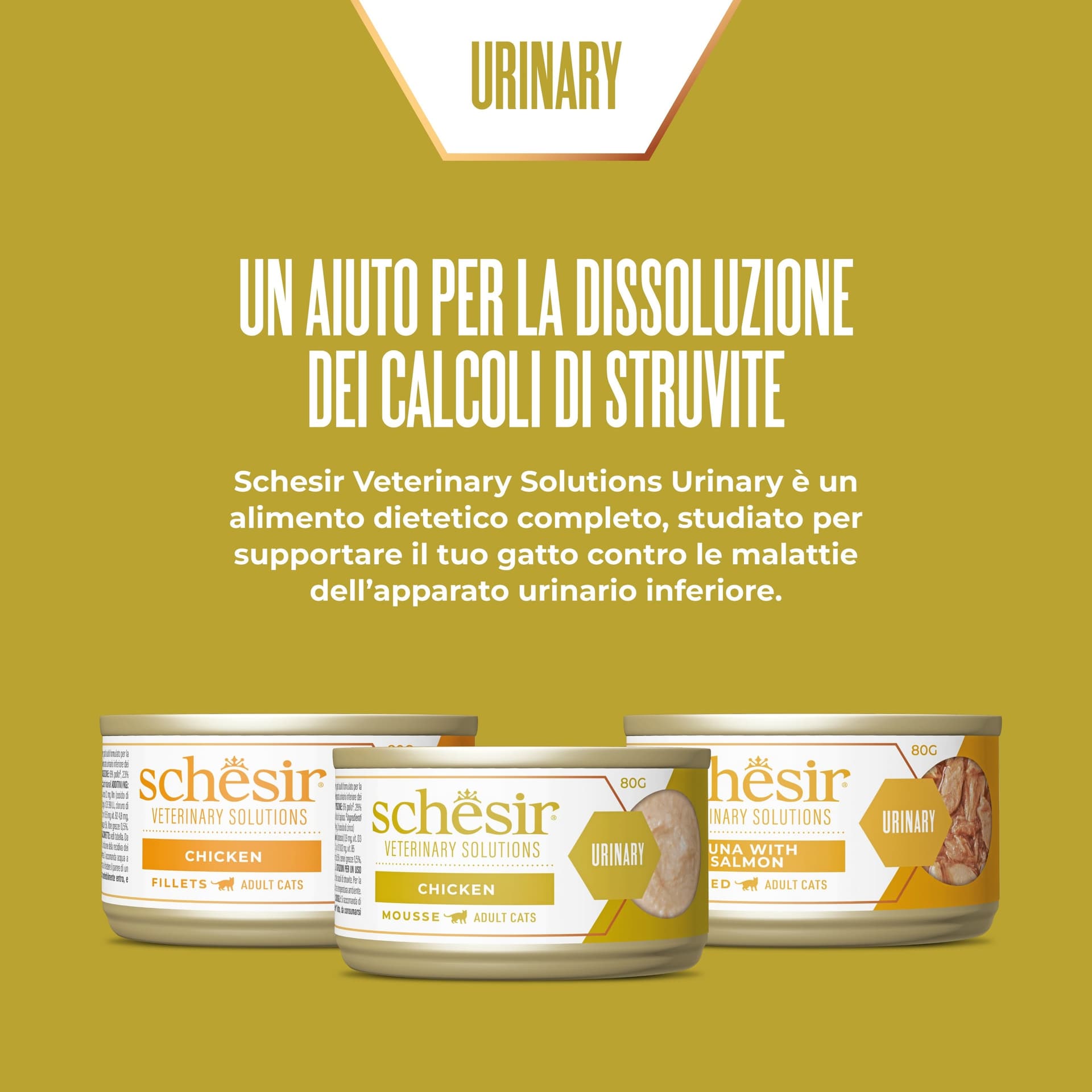 Schesir Veterinary Solution Urinary Fiocchi Tonnetto con Salmone 80g - 4