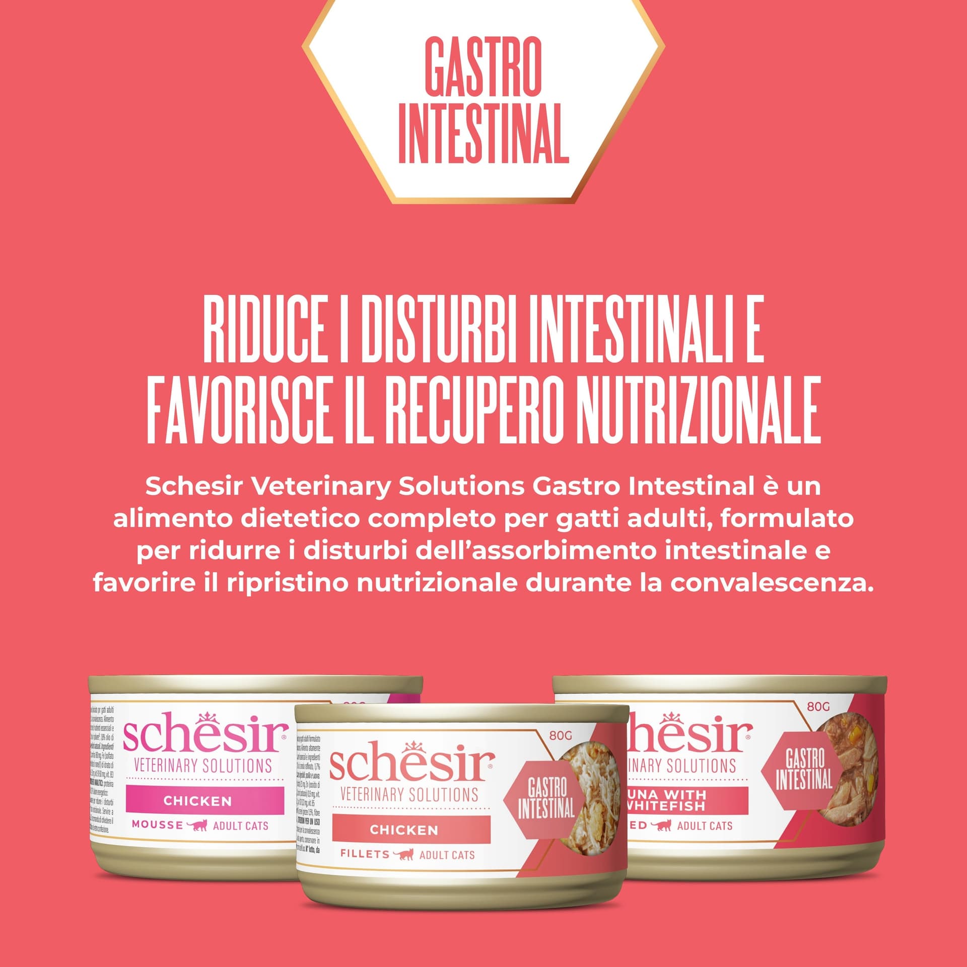 Schesir Veterinary Solution Gastro Intestinal Mousse Tonnetto con Pollo 80 gr gatto - 3