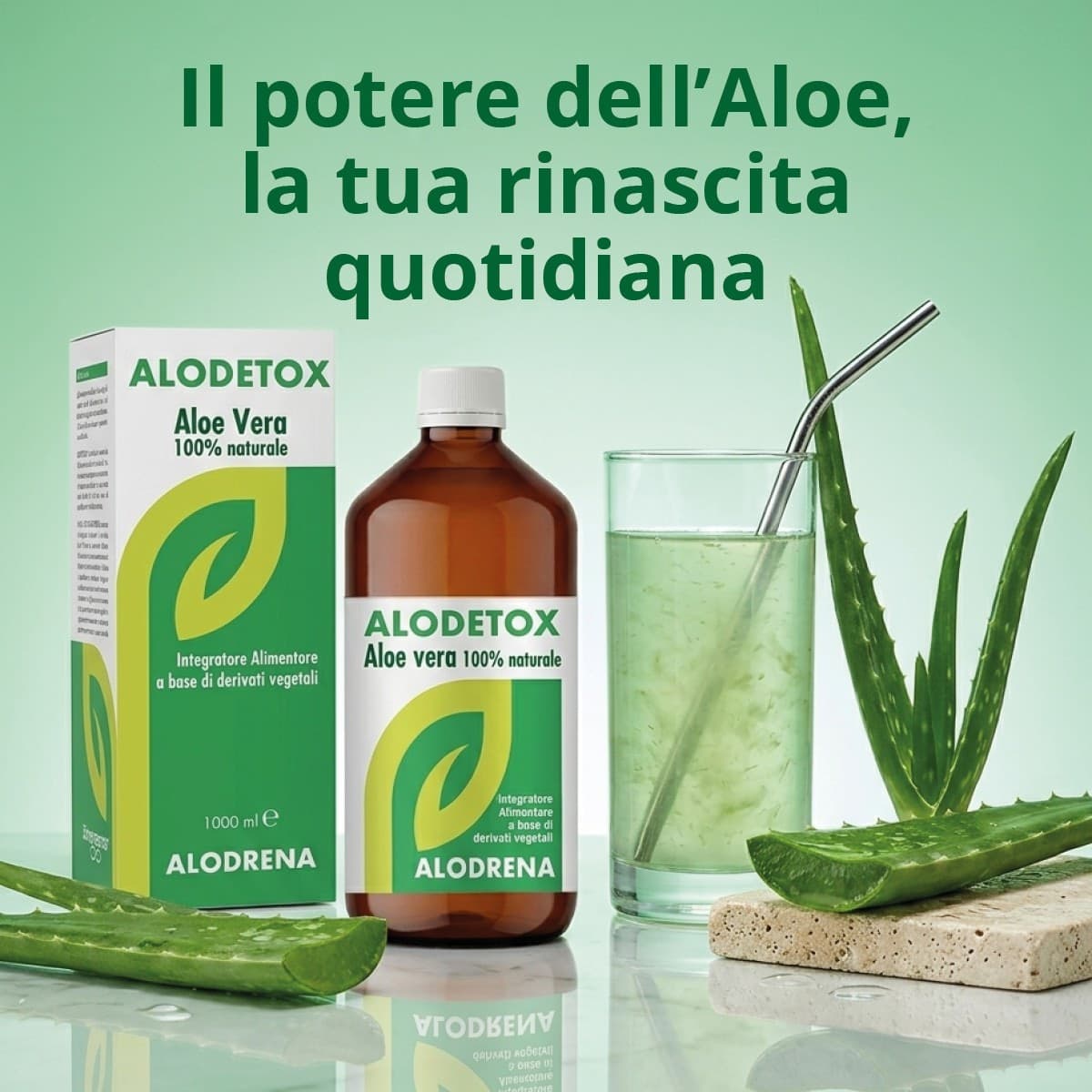 ALODETOX integratore alimentare fitopreparato Gel 1000 ml - 2