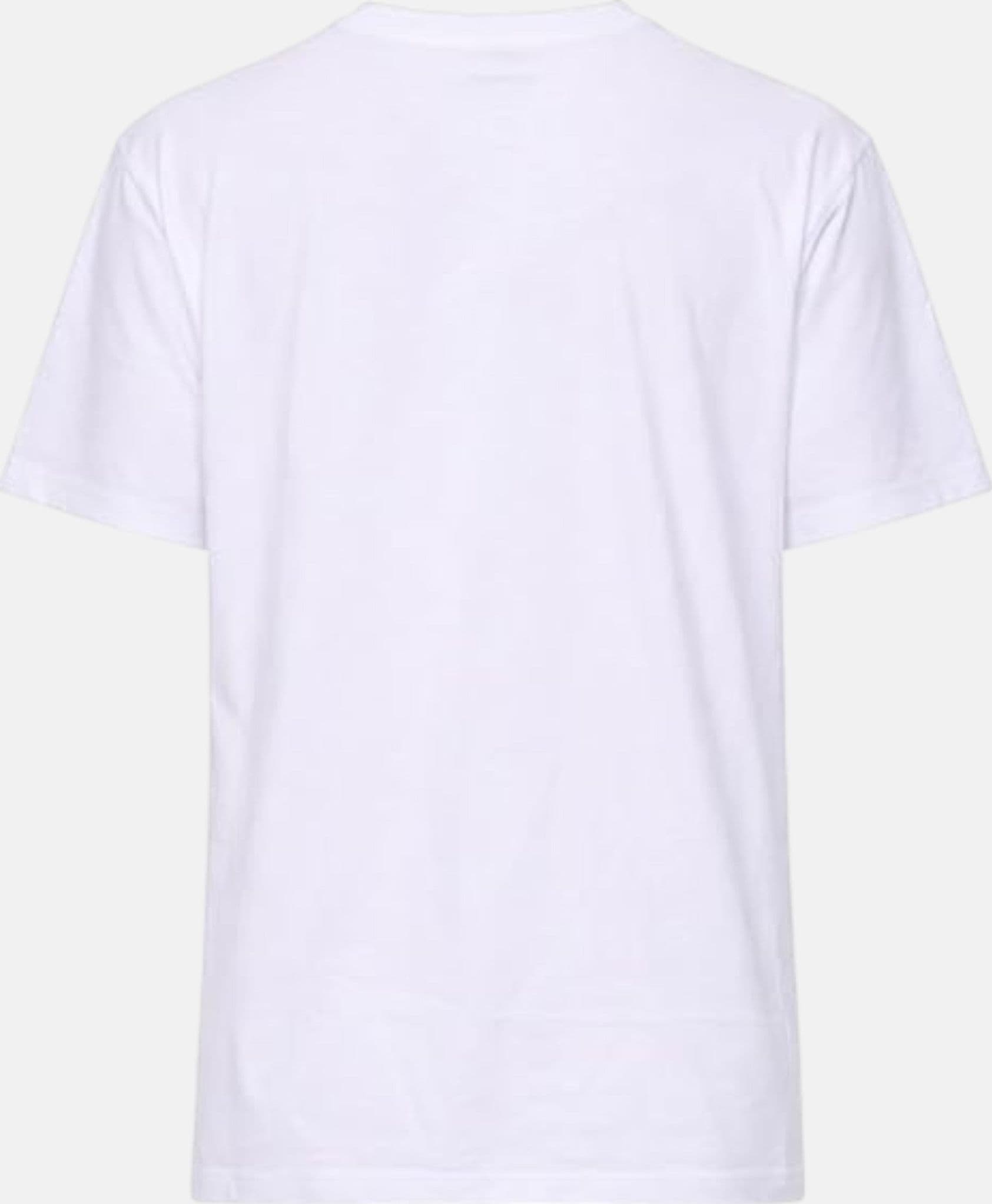 Blauer T-shirt uomo 26SBLUH02283 mod. Brush - 3