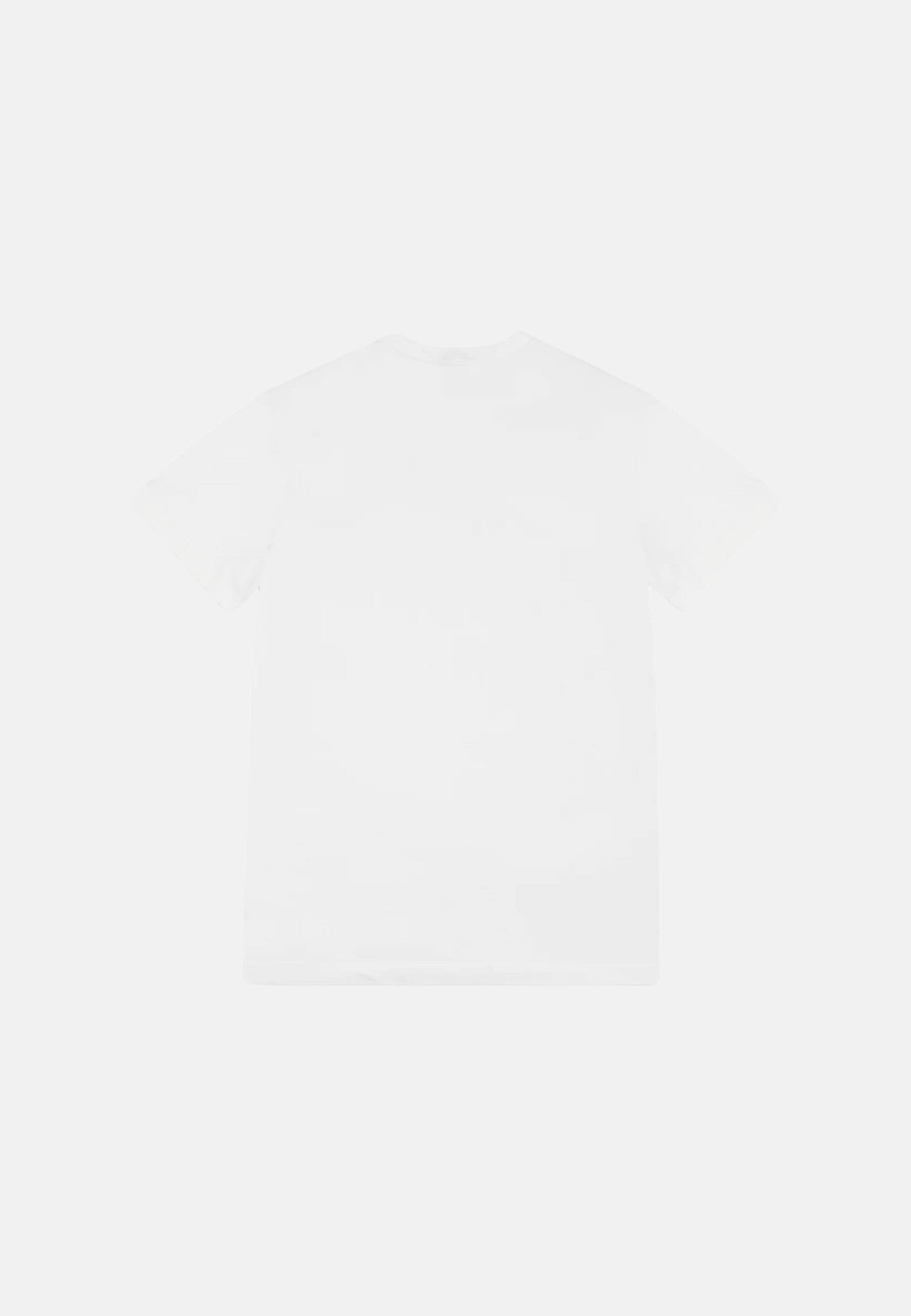 Colmar T-shirt uomo 7554 white - 4