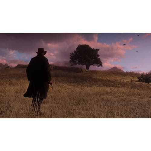 Red Dead Redemption 2 PS4 ES - 2