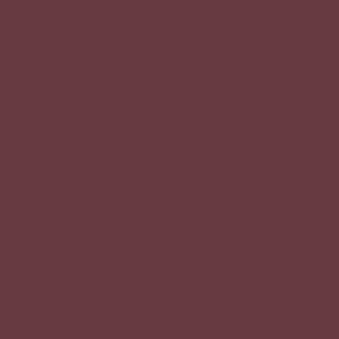 Vintage Prestige 500ml RIO VERDE RENNER - 12