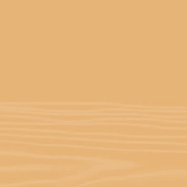 Gommalacca in Stick per Ritocchi SHELLAC STICK - 8