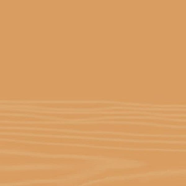 Gommalacca in Stick per Ritocchi SHELLAC STICK - 9